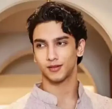 Vedang Raina (Ankur Anand)